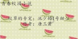 我的王朝